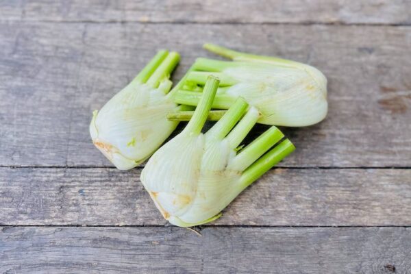Fresh Fennel Bulb