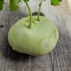 Fresh Kohlrabi – Crisp, Mild, and Nutritious Vegetable
