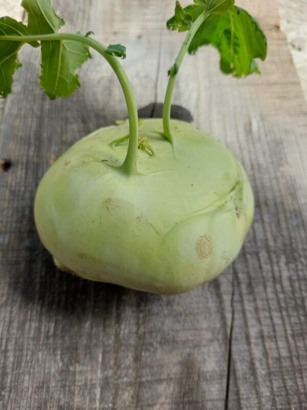 Le chou-rave frais - un légume croquant, doux et nutritif
