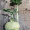 Fresh Kohlrabi – Crisp, Mild, and Nutritious Vegetable