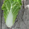 Fresh Napa Cabbage – Crisp and Tender Asian Green