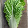 Fresh Napa Cabbage – Crisp and Tender Asian Green