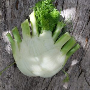 Bulbe de fenouil frais – Croquant, aromatique et nutritif