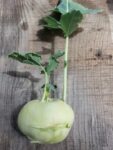 la-reine-des-courges – Chou-rave